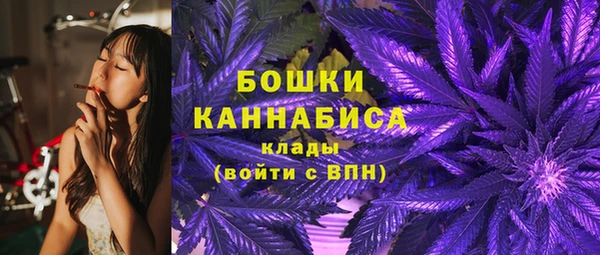 spice Вяземский