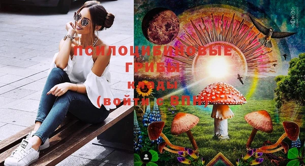 spice Вяземский