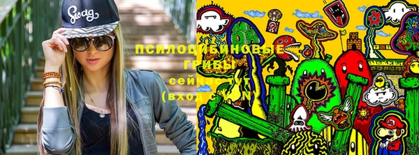 spice Вяземский