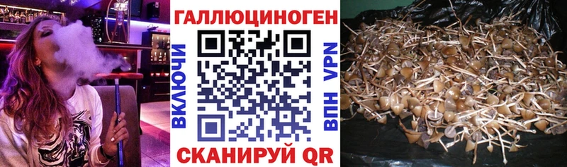 нарко площадка клад  Дюртюли  Галлюциногенные грибы Cubensis 